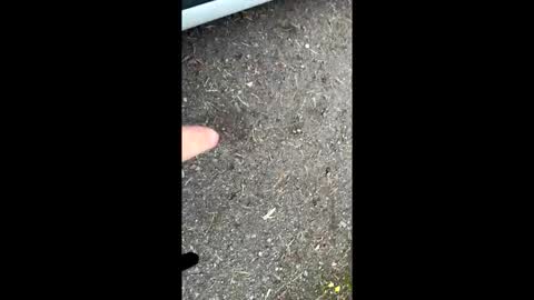 Snapshot of pete444555 chatting on September 2025 05:44:01 AM pete444555 online show from September 2025 05:44:01 AM