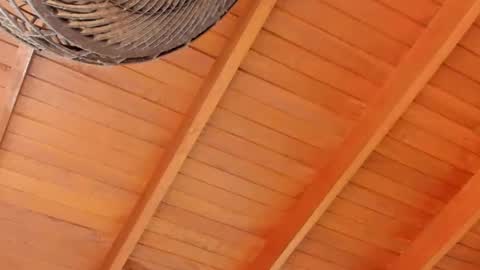 peter jackson1 online show from December 2024 11:57:01 PM