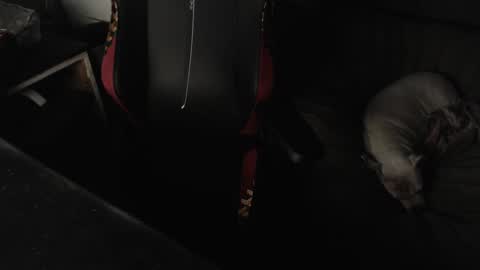 Snapshot of peterbeater2 chatting on February 2025 07:45:01 AM peterbeater2 online show from February 2025 07:45:01 AM