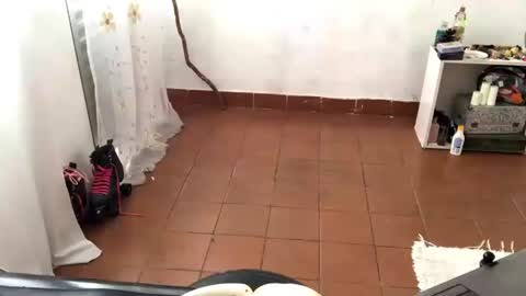 Mlian online show from April 2026 04:36:02 PM