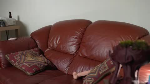 caracal online show from March 2025 05:27:02 AM