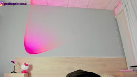 Petiteprinces online show from December 2024 11:28:02 PM