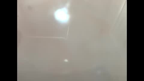 petrol63102 online show from March 2026 09:48:01 AM