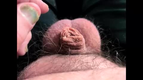 petrol63102 online show from March 2026 05:21:01 PM