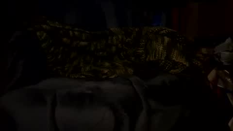 Snapshot of phoenix_freddie chatting on May 2026 06:07:02 AM Phoenix online show from May 2026 06:07:02 AM