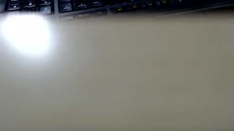 pier49x online show from February 2025 03:40:01 AM