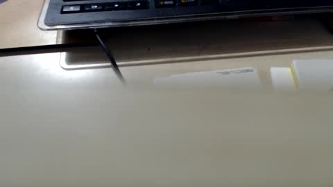 pier49x online show from September 2025 03:00:02 AM