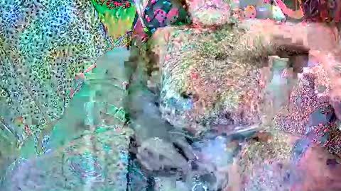 piercecox13 online show from May 2026 09:50:01 AM