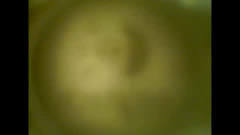 pierrecard1 online show from October 2025 05:40:01 AM