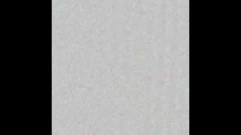 Snapshot of piledriver3469 chatting on November 2025 01:57:01 PM piledriver3469 online show from November 2025 01:57:01 PM