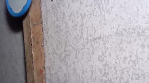 Snapshot of pinay_yummy28 chatting on December 2024 08:22:02 PM pinay_yummy28 online show from December 2024 08:22:02 PM