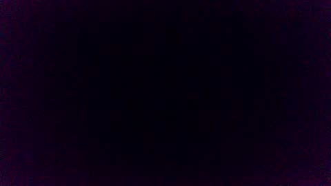 Pincoffin online show from November 2025 11:25:02 PM