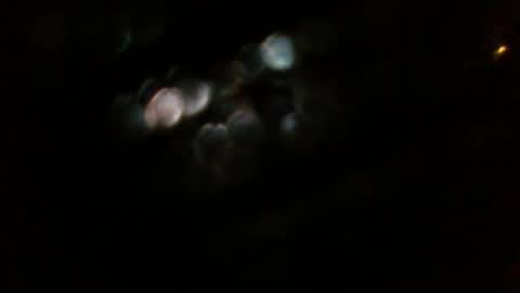 Snapshot of pingpong6 chatting on March 2026 04:17:02 AM pingpong6 online show from March 2026 04:17:02 AM