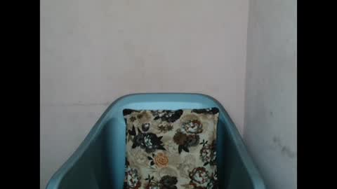 pinkyxxpussy online show from February 2026 11:19:02 PM