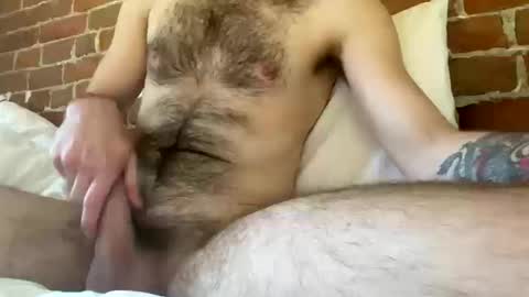 Pint online show from October 2025 08:31:02 PM