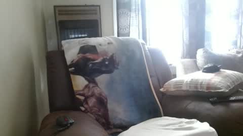 pirate334 online show from February 2026 08:47:01 PM