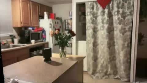 Snapshot of pirdybirdyxo chatting on January 2025 04:06:01 AM pirdybirdyxo online show from January 2025 04:06:01 AM