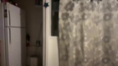 Snapshot of pirdybirdyxo chatting on March 2025 12:31:01 AM pirdybirdyxo online show from March 2025 12:31:01 AM