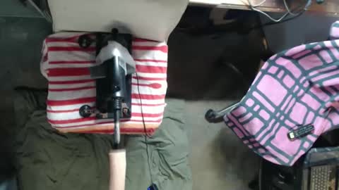 Pisanobear Daddy loose open HairyHole poppers toys online show from April 2026 05:14:02 PM