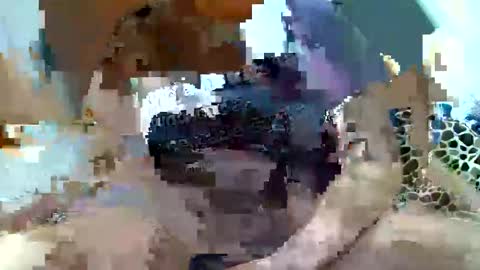 pislezg1 online show from February 2025 11:45:01 PM