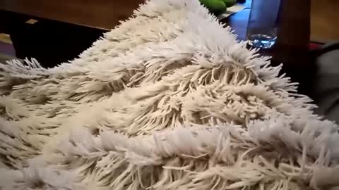 Antn online show from February 2025 06:33:01 AM