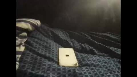 Snapshot of pityboycock chatting on September 2025 10:42:01 PM whom like be watching.i online show from September 2025 10:42:01 PM