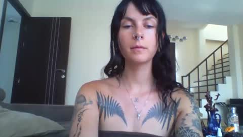 Snapshot of pixiecatfairy chatting on March 2026 08:18:01 AM pixiecatfairy online show from March 2026 08:18:01 AM