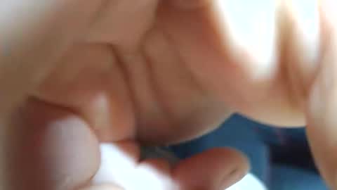 Snapshot of planta722 chatting on April 2026 07:28:01 AM planta722 online show from April 2026 07:28:01 AM