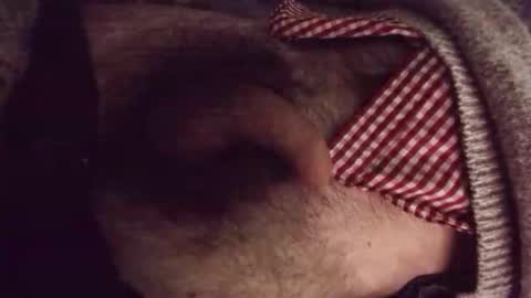 Snapshot of platoniclov chatting on March 2026 03:21:02 AM platoniclov online show from March 2026 03:21:02 AM