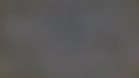 playboytit online show from December 2024 10:55:02 AM