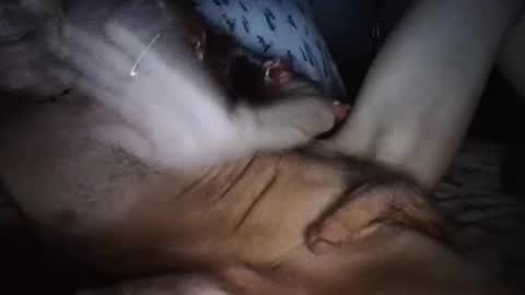 playdaddy756210 online show from March 2026 02:50:02 AM