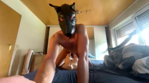 playdog123 online show from September 2025 11:56:02 AM