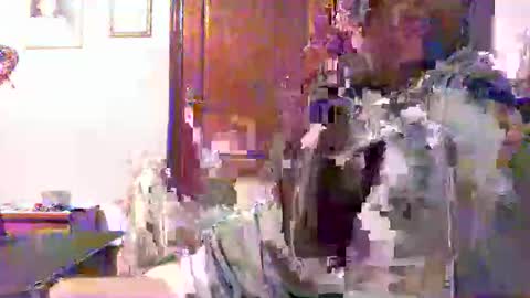 Snapshot of plu07f3520 chatting on April 2026 12:43:02 AM plu07f3520 online show from April 2026 12:43:02 AM