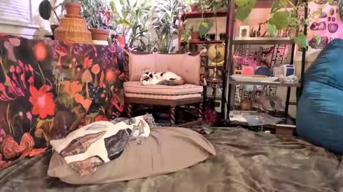 Goddess Pluto online show from January 2025 11:13:02 PM