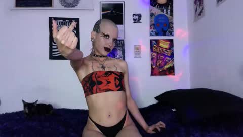    online show from March 2026 05:44:01 AM