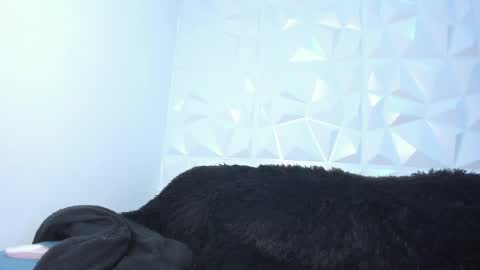 pnishermaster online show from June 2026 07:09:02 PM
