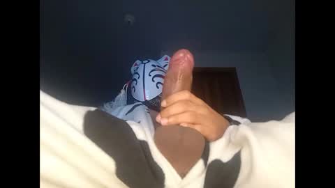 pocketrocketx online show from March 2026 04:07:02 AM