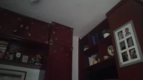 Snapshot of pocoyotop chatting on March 2026 12:47:01 AM pocoyotop online show from March 2026 12:47:01 AM