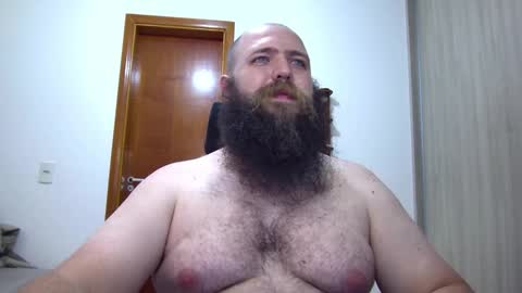 Bear online show from February 2025 03:09:01 AM