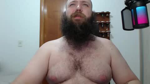 Bear online show from February 2025 05:05:01 AM