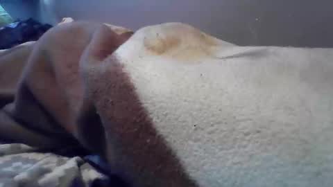 polishbigdick17 online show from October 2025 06:04:02 AM