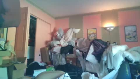 jaws online show from February 2025 02:54:01 PM