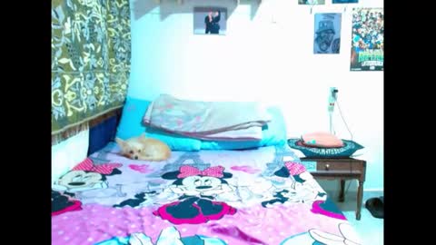 Snapshot of pollon8_kbezon chatting on January 2025 08:42:01 PM Gian online show from January 2025 08:42:01 PM