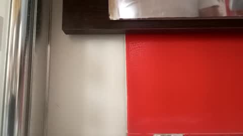 Snapshot of pollonmix chatting on September 2025 10:59:01 AM pollonmix online show from September 2025 10:59:01 AM