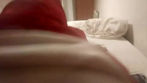 Pollonreus online show from June 2026 04:40:01 AM