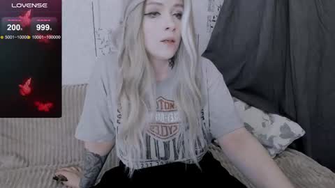 Polly online show from May 2026 11:16:02 AM