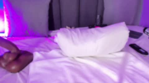 Snapshot of pollybabe_ chatting on February 2025 01:33:02 PM POLLY online show from February 2025 01:33:02 PM