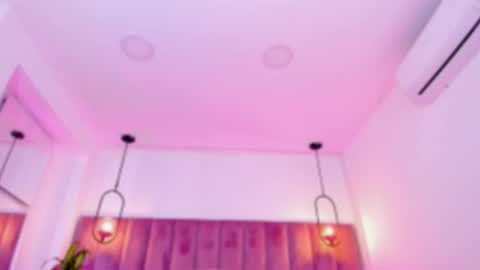 POLLY online show from February 2026 10:14:01 AM