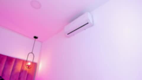 POLLY online show from March 2026 10:12:02 AM