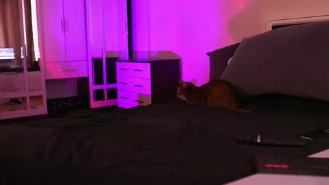 Megan.online  online show from September 2025 01:02:01 PM